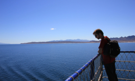 Trying to spot marine animals from the ferry