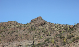 Typical Baja landscape