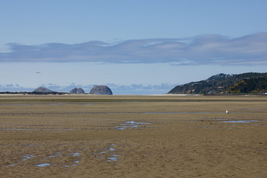 The Oregon coast near Tillamook