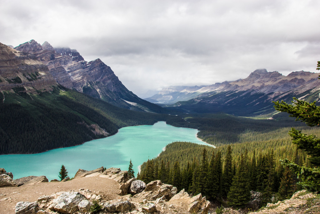 Peyto Lake - the color changes over the year and is caused by stone dust in the water.